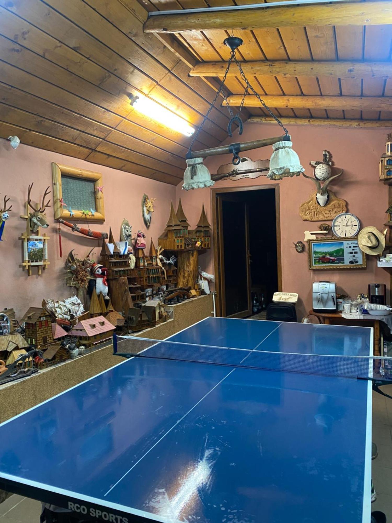 Cabanuta Cu Teren De Tenis Banita Exterior foto